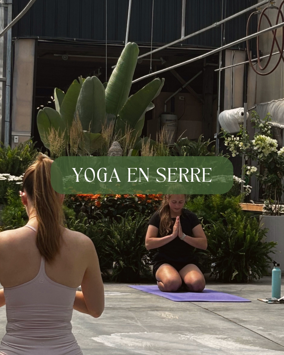 _yoga En serre oct