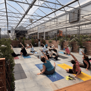 Yoga en serre automnal - 12 Septembre