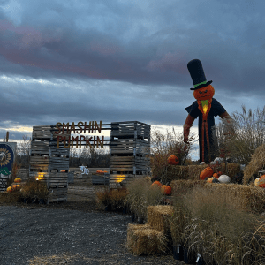 Smashin Pumpkin - 31 octobre
