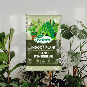 Terreau empotage — Plante d'intérieur