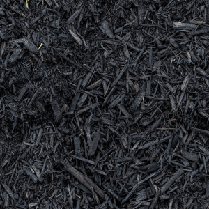 Paillis de cèdre teint noir