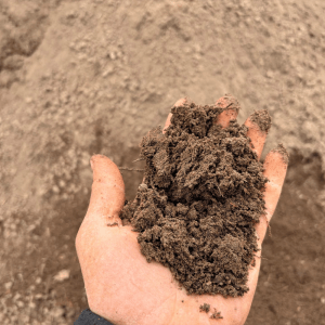 DEMI-VERGE Terre de surface tamisée